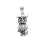 Dije De Plata De Búho Silvestre con Cadena - Image 2
