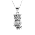 Dije De Plata De Búho Silvestre con Cadena