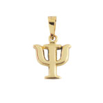 Dije De Oro 14 Kilates Psique Chico