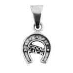 Dije De Plata Herradura Good Luck con Cadena - Image 2