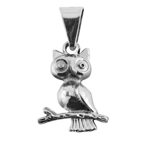 Dije de Plata Buho Pequeño en Rama