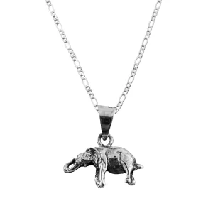 Dije de Plata Elefante Feliz con cadena
