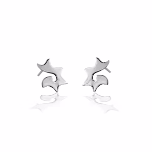 Aretes de Plata Caracolito
