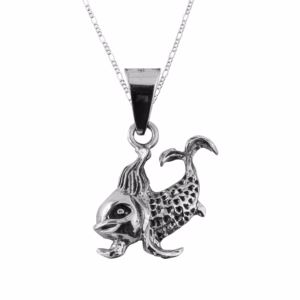 Dije de Plata Pez de Arrecife con cadena